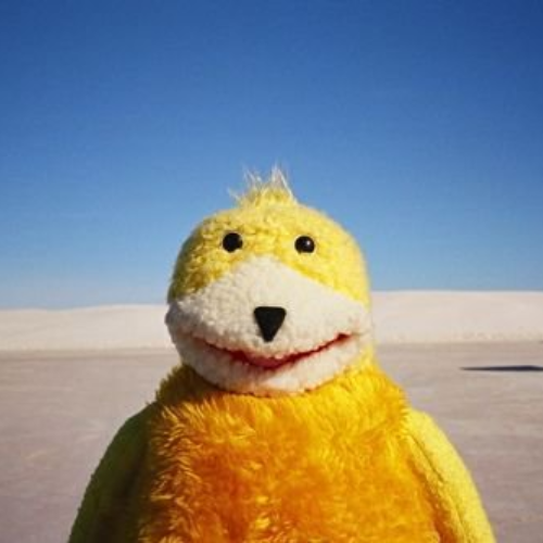 Flat Eric