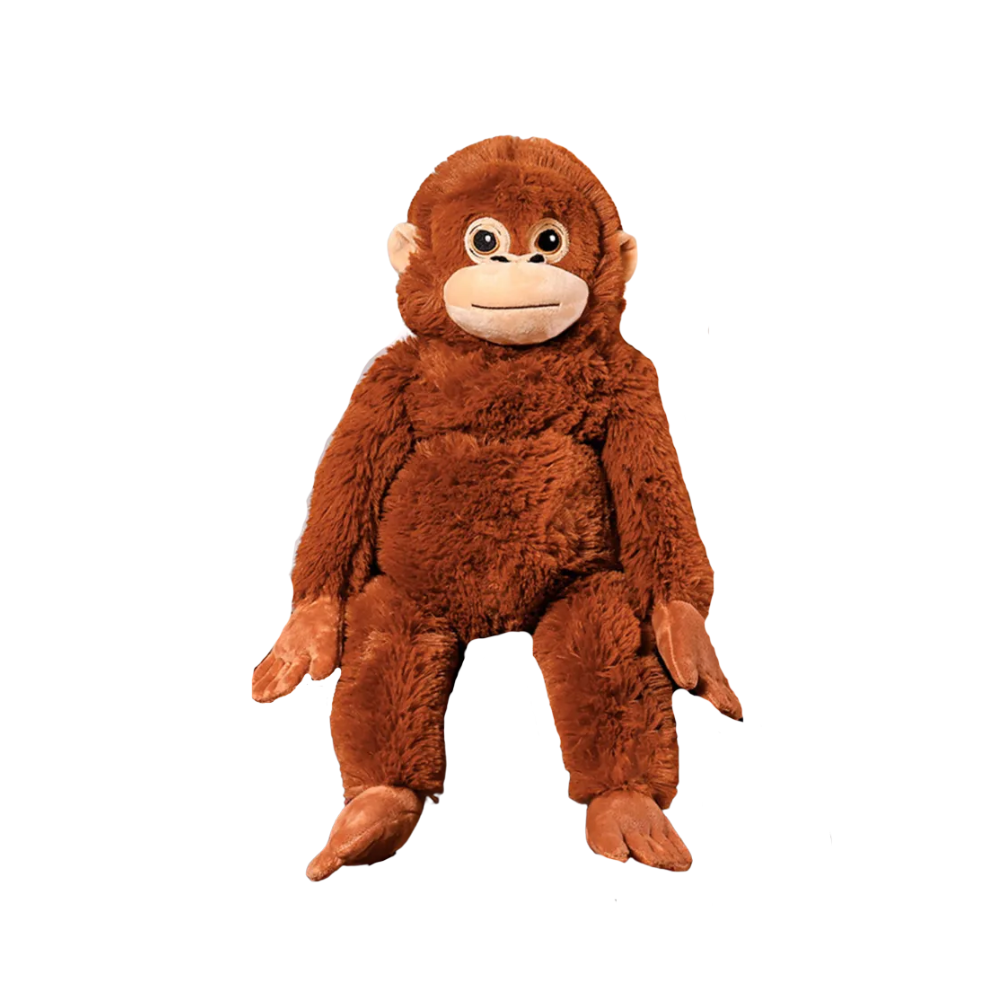 オランウータン